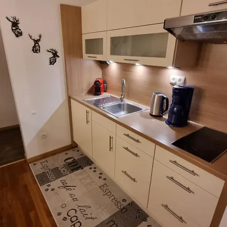 Apartmán Planai View 12 *