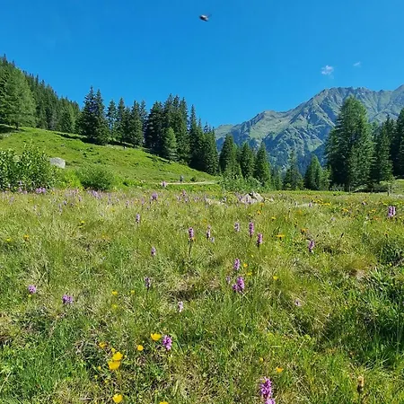 Planai View 12 Schladming