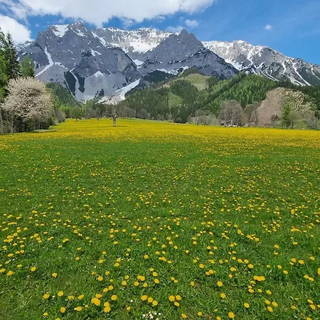 Planai View 12 Appartement Schladming