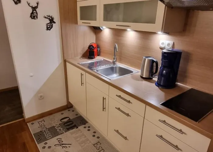 Apartman Planai View 12 *